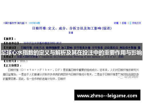 足球心水指数的定义与解析及其在投注中的重要作用与影响 足球心水指数的定义与解析及其在投注中的重要作用与影响