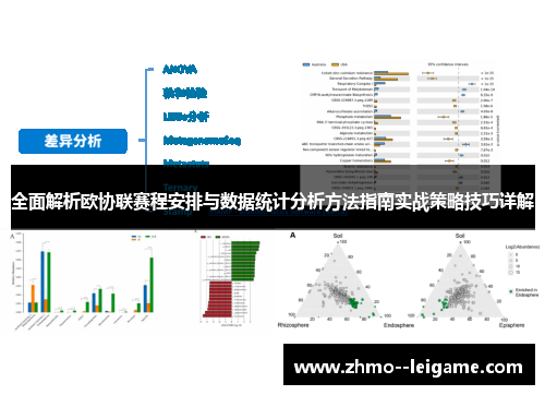 全面解析欧协联赛程安排与数据统计分析方法指南实战策略技巧详解 全面解析欧协联赛程安排与数据统计分析方法指南实战策略技巧详解
